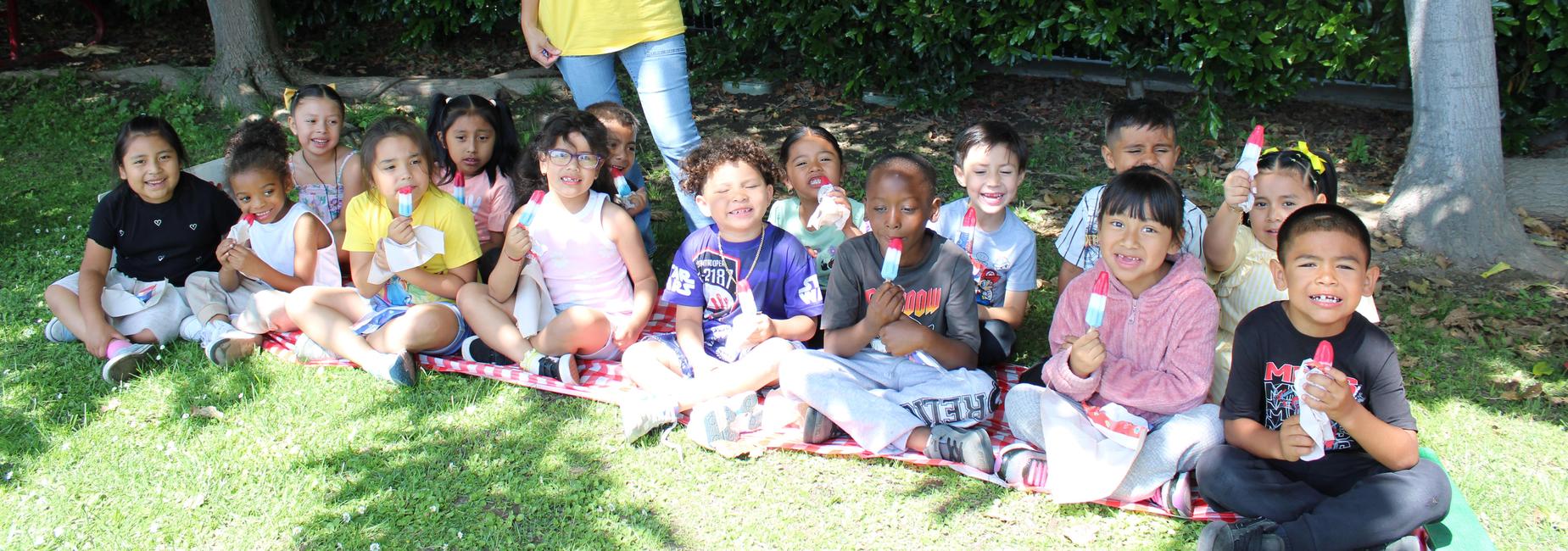 Mrs. Garcia&rsquo;s Popsicle Picnic