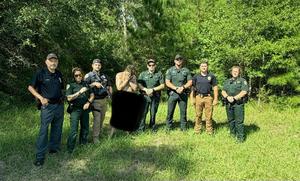 VEHICLE PURSUIT ENDS IN ARREST IN PIKE COUNTY