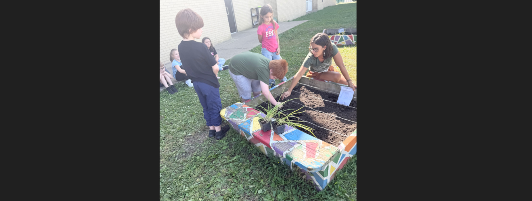 school garden