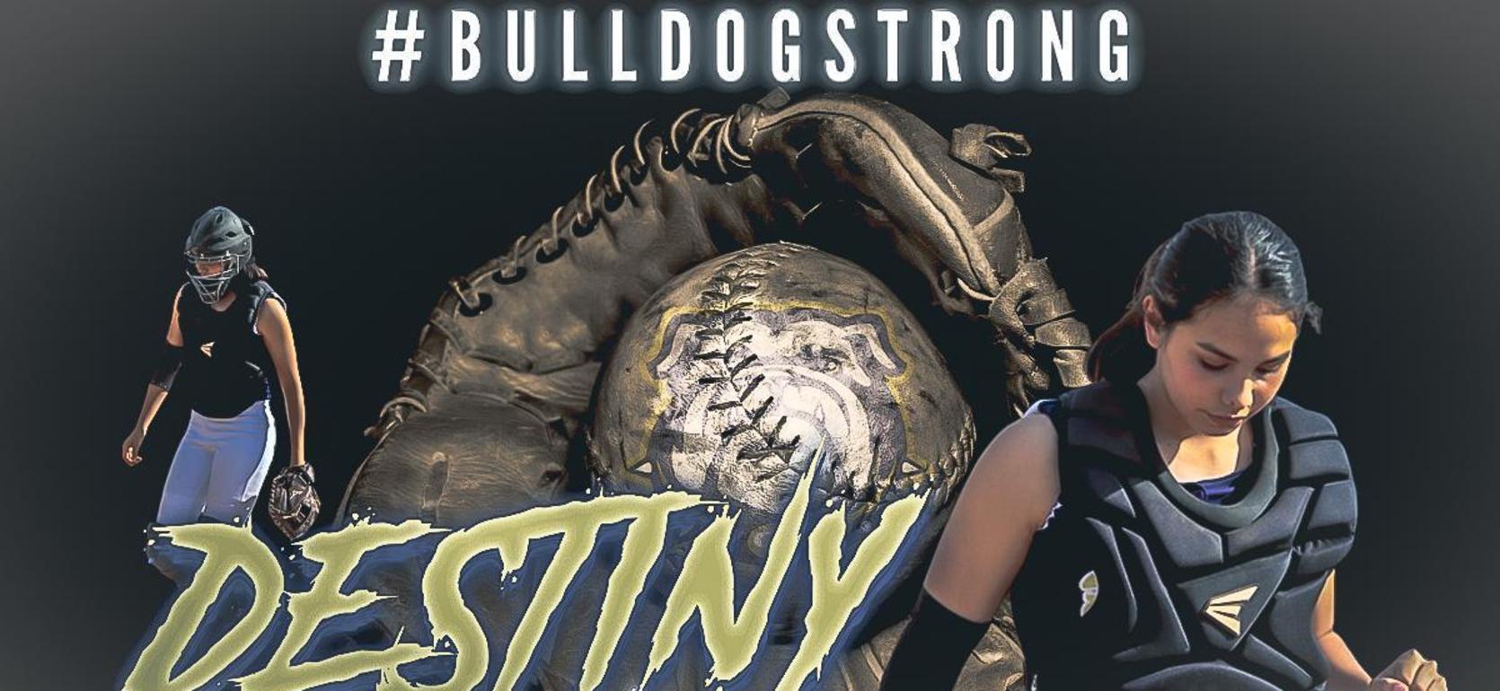 A female softball player in gear, with a background featuring a baseball and bold text.