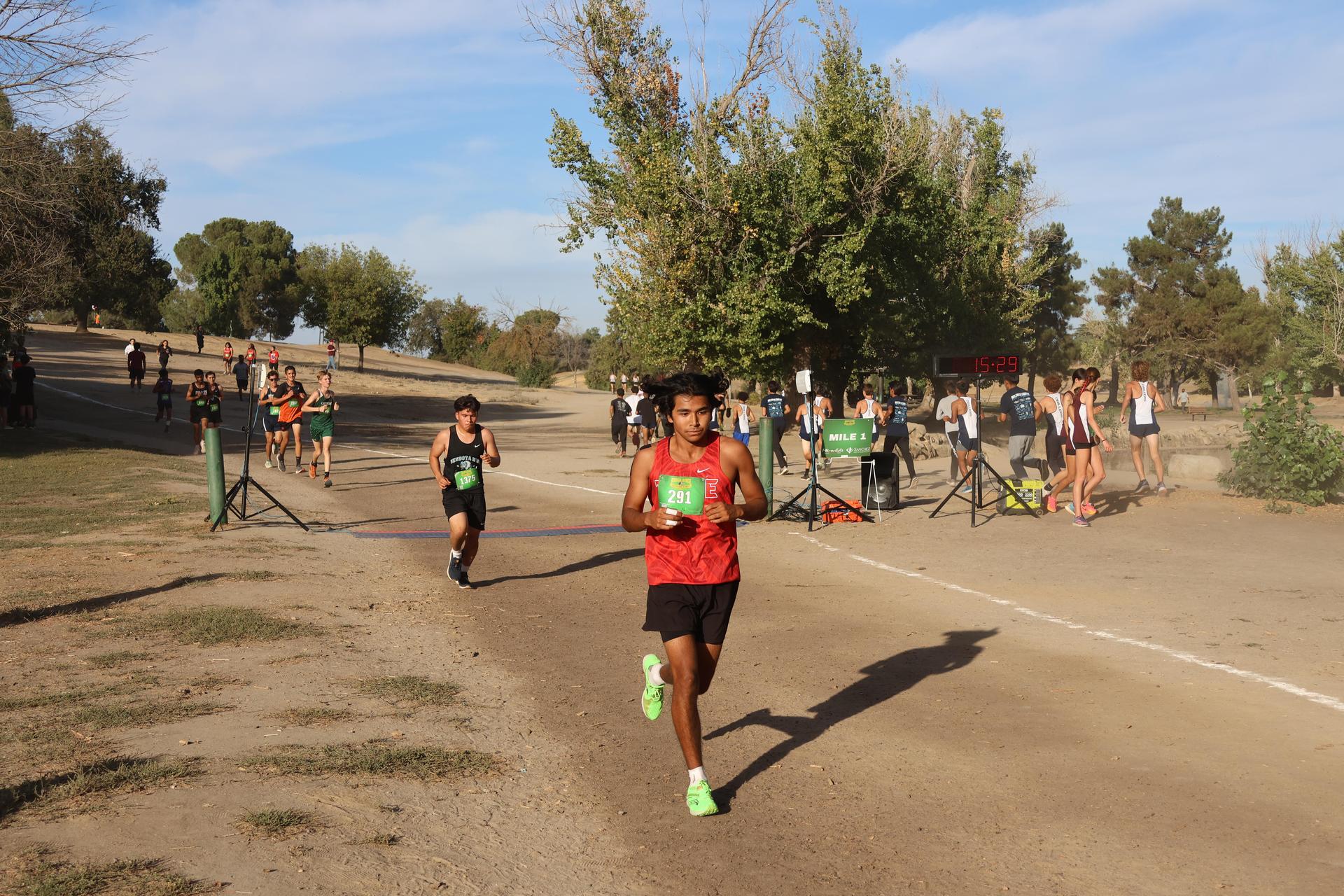 cross country runners in action