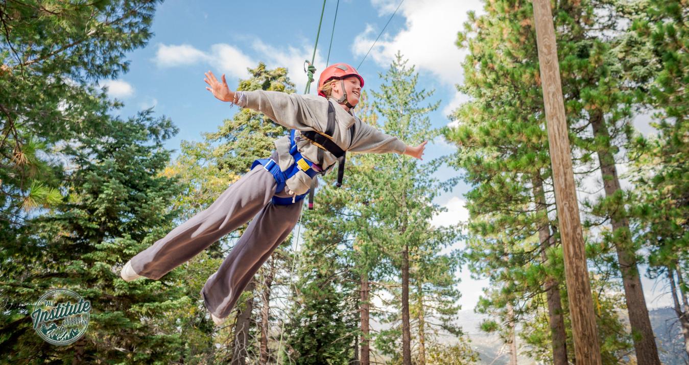 Person zip-lining among tall trees under a blue sky.