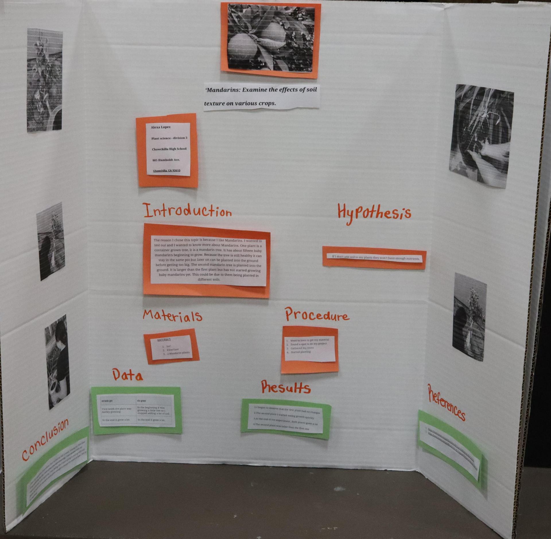 A Supervised Agricultural Experience trifold display