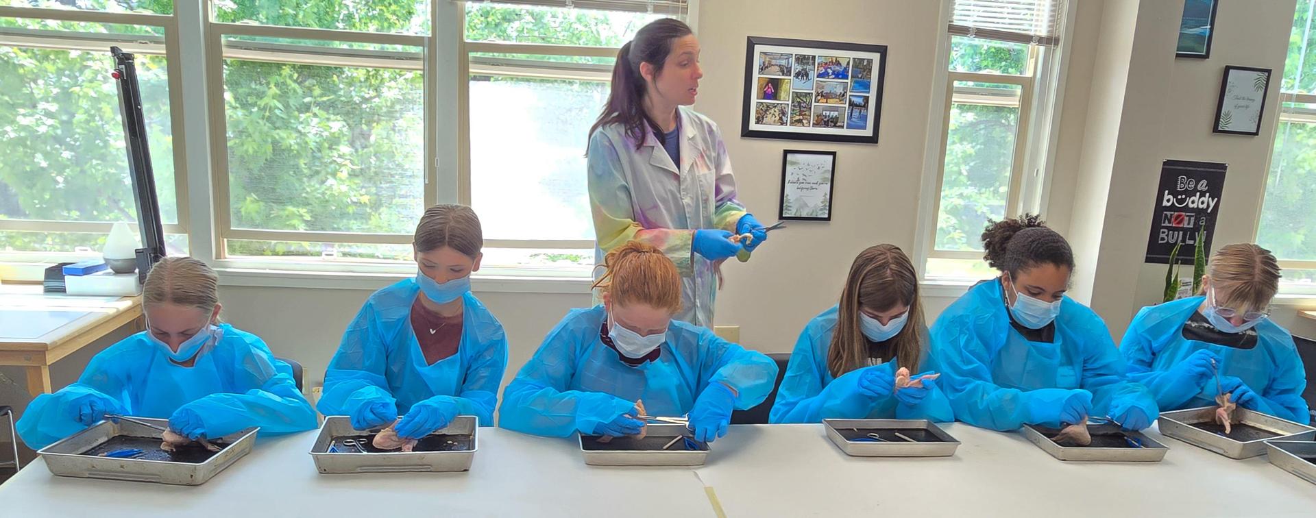 Lab