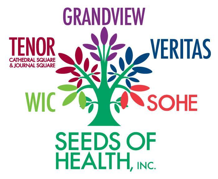 Seeds of Health all programs logo, showing a tree with the colors of each school and program.