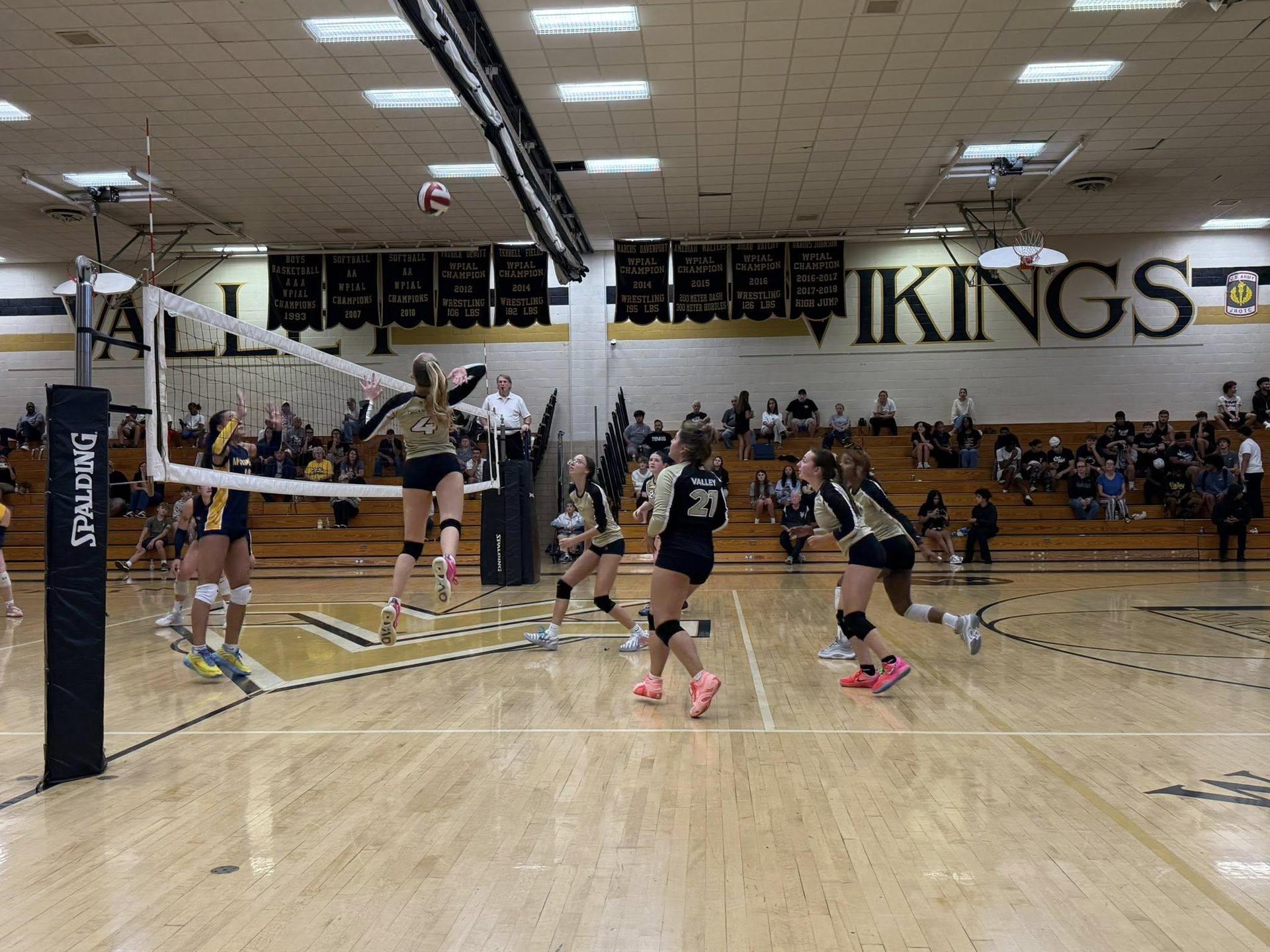 volleyball
