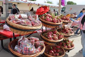 Annual Student Farmers Market Kicks Off at Eastside Elementary