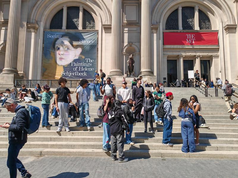 A crowd of visitors at the steps of a museum with banners and artworks.
