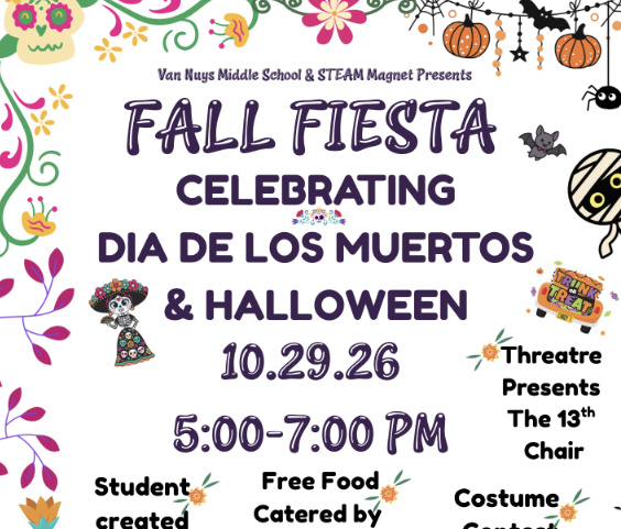 VNMS fiesta