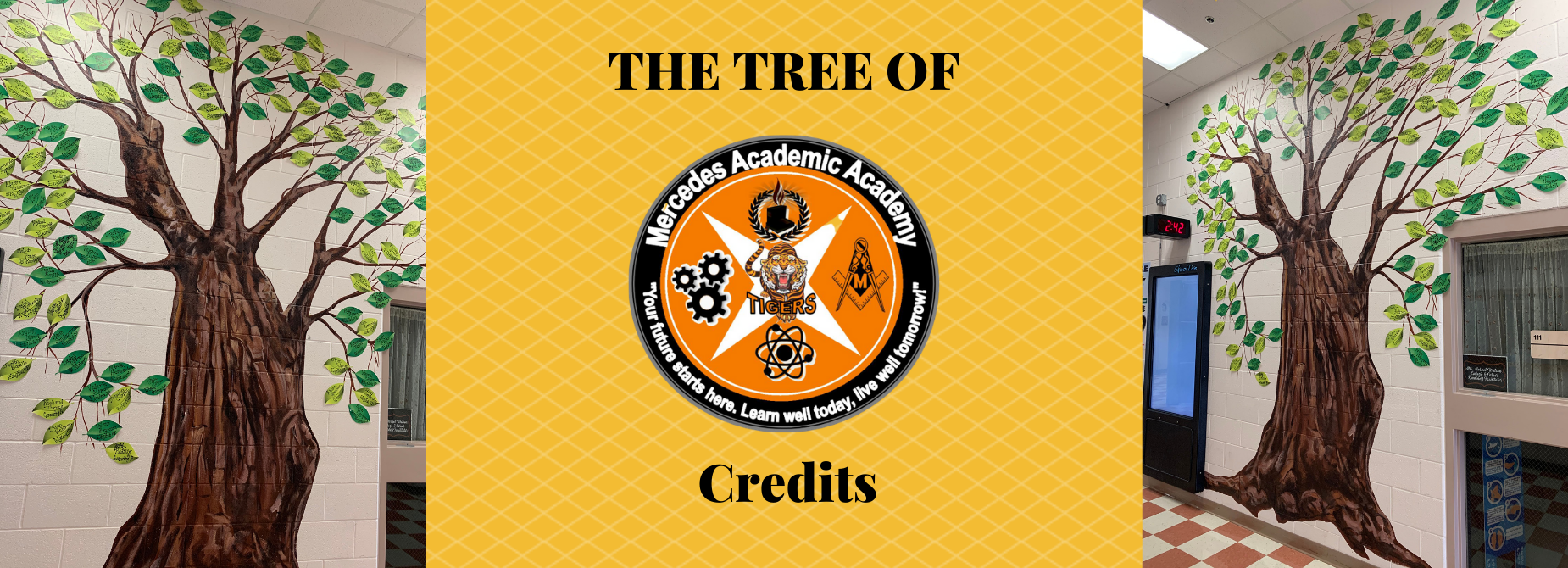 Mercedes Academic Academy