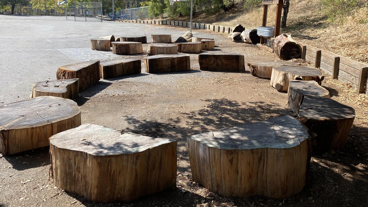 Circular seating area made of large wooden stumps in a shaded spot.