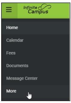 Click More on the Menu