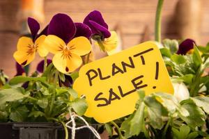 Plant Sale
