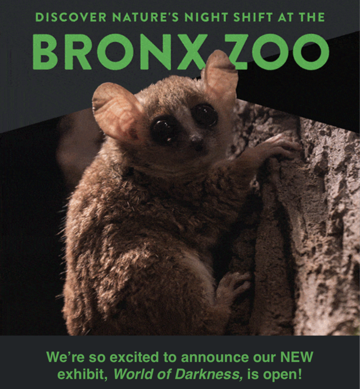 Bronx Zoo World of Darkness Featured Photo