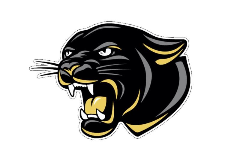 School's Panther Mascot