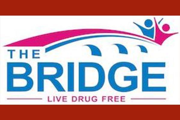 The Bridge - Light the Night