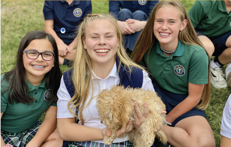 Earn Judge Credits at New 7th/8th Academy Featured Photo