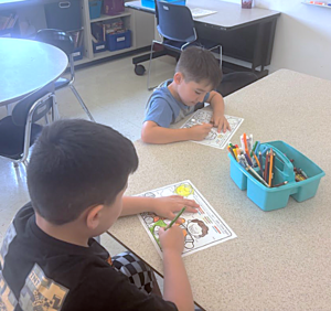 Summer Programs