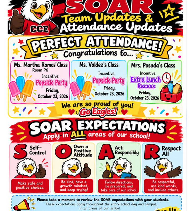 soar Expectations