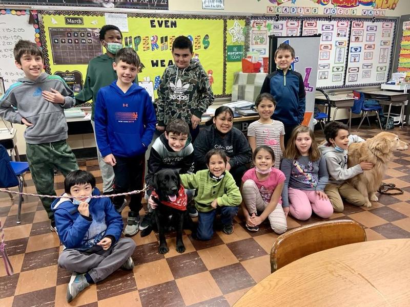 Therapy Dogs