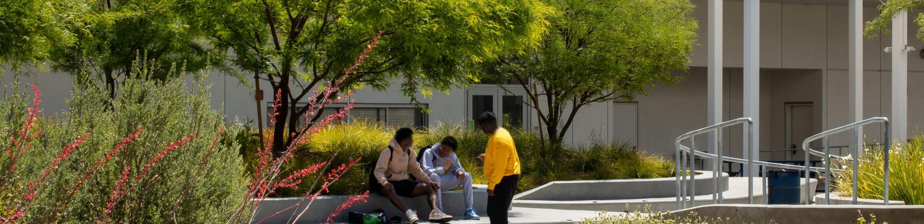 Students in Quad Area