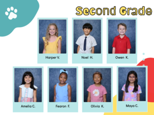 white background with student pictures