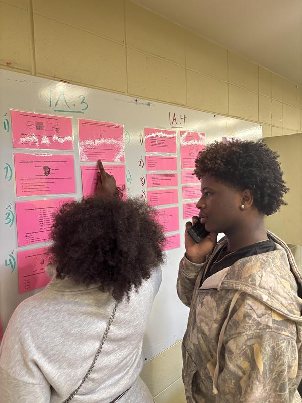Two more students looking at trivia cards on the wall