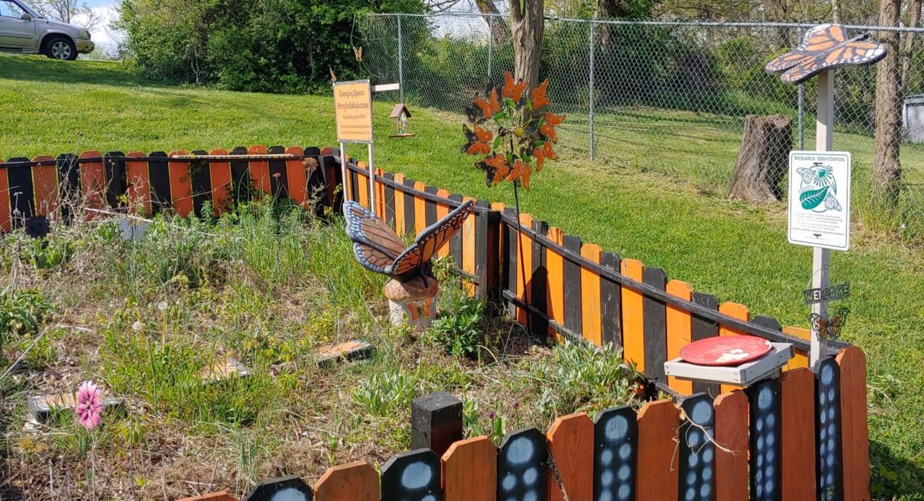 Butterfly Garden