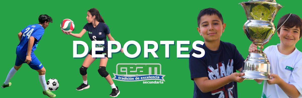 Fomento deportivo