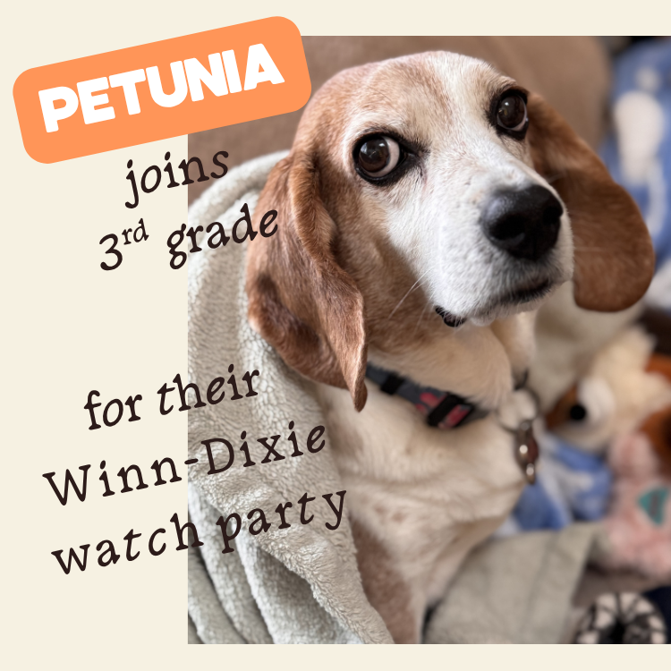 Winn-Dixie Watch Party!