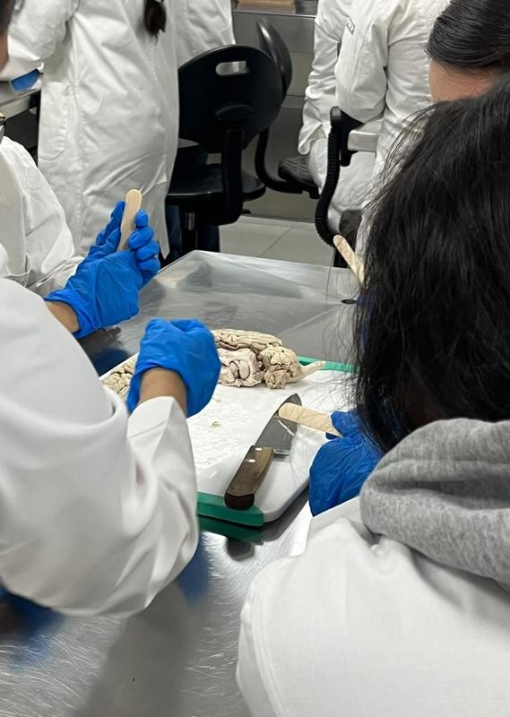 Visitan los laboratorios de UPAEP Featured Photo
