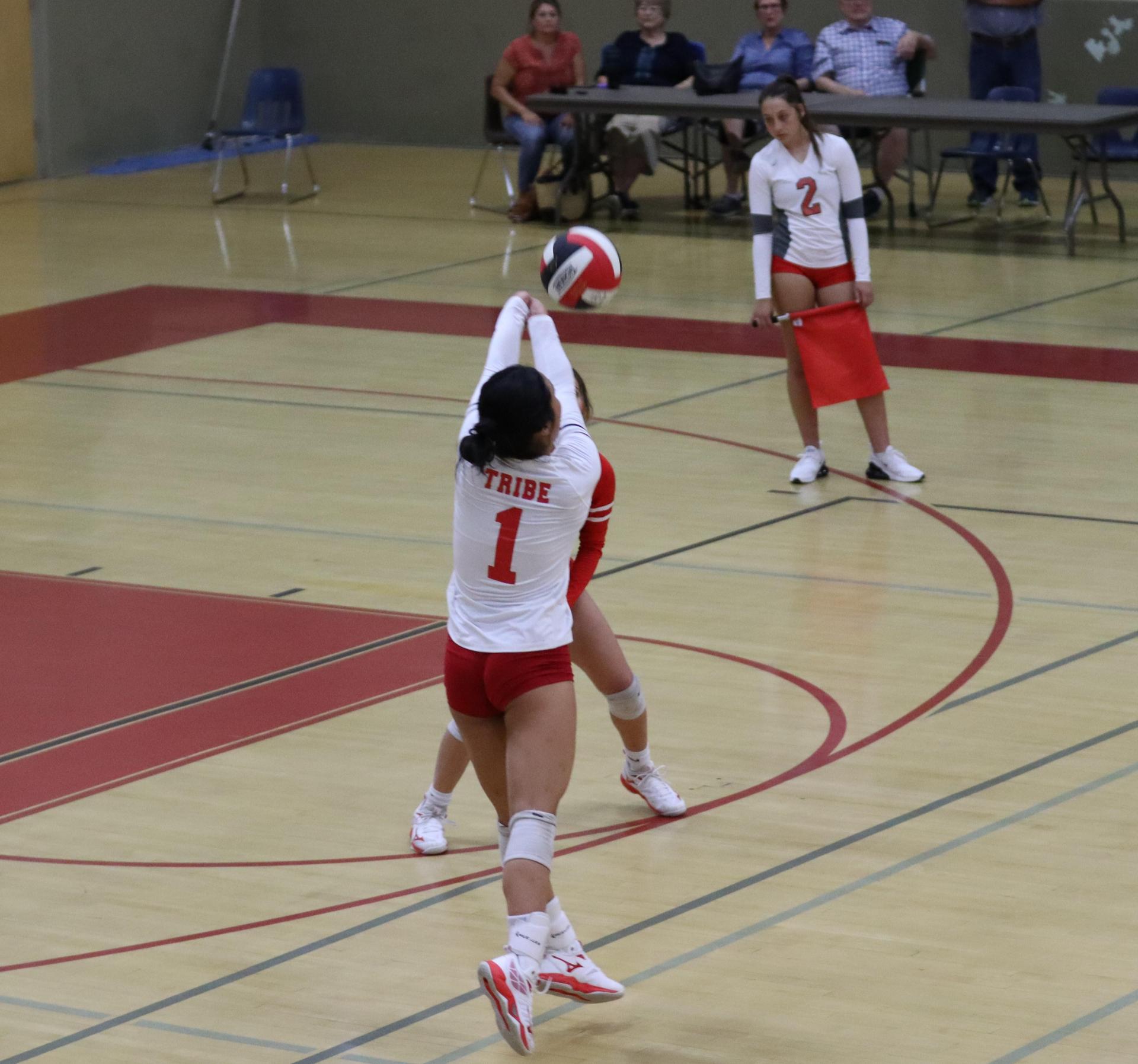 varsity volleyball players in action against liberty