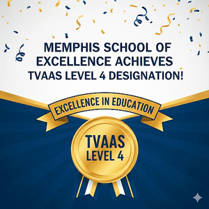 tvaas level 4
