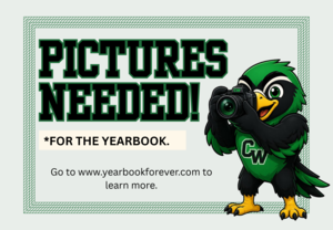 black and green cartoon falcon with a camera and the words "Pictures Needed."