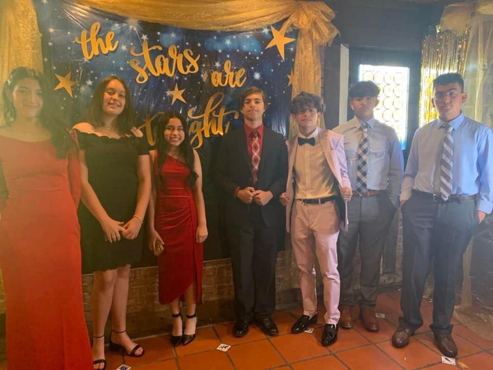 Photos Sunflowers Academy