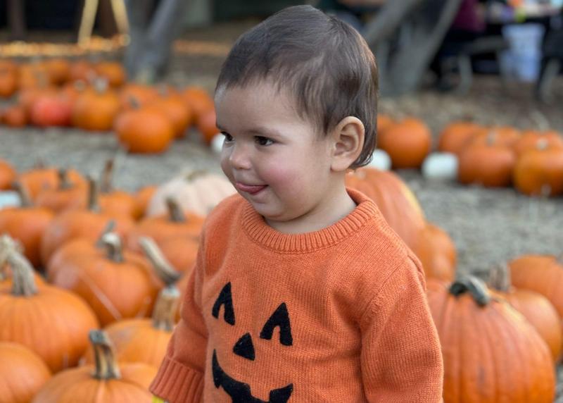 MEF Pumpkin Patch Thumbnail Image