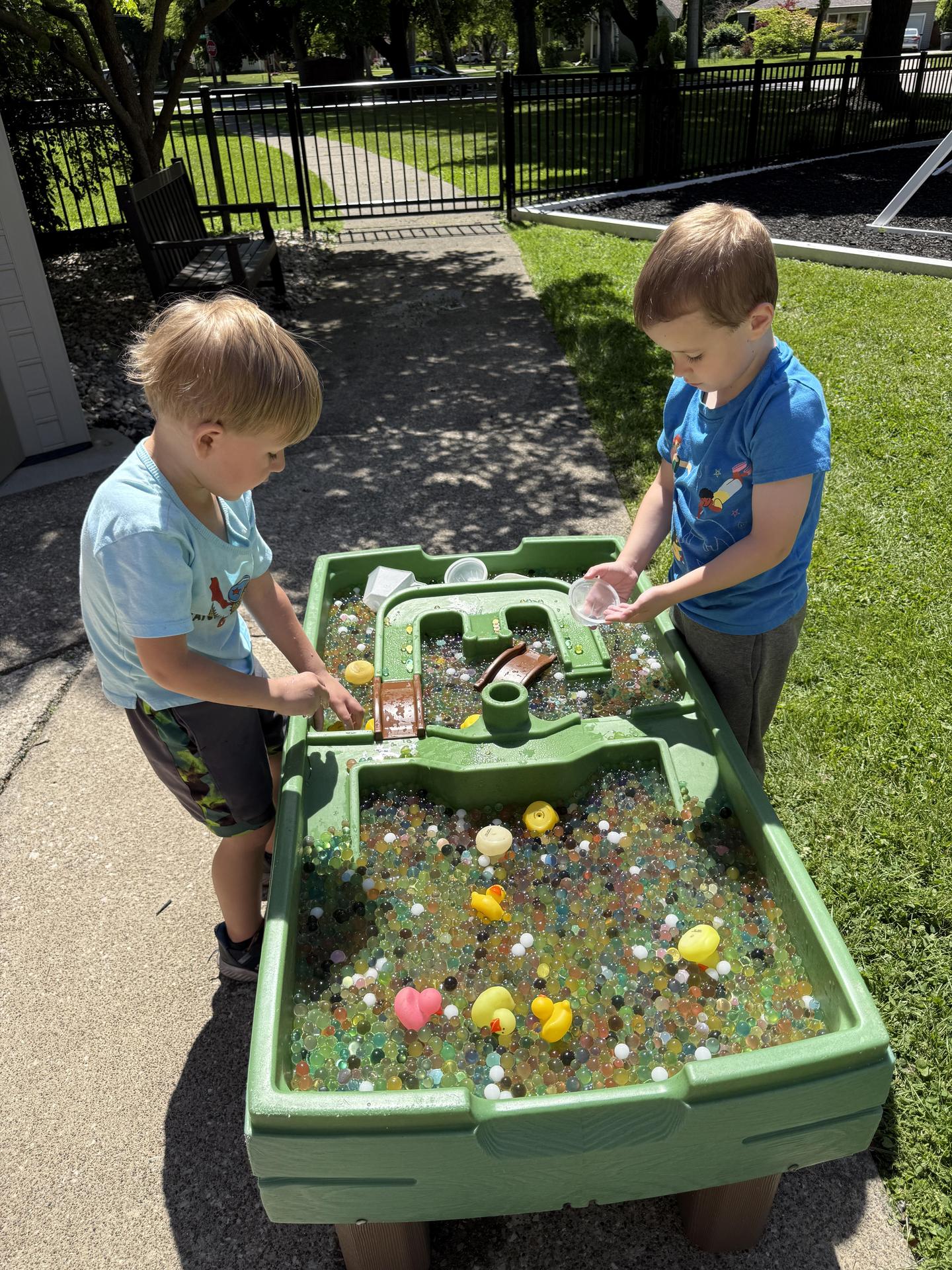 Water Table