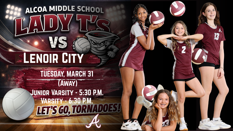 Volleyball Game Away