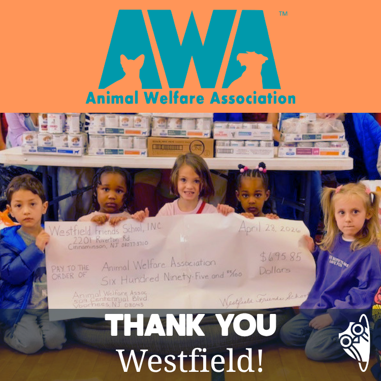 Community and Service at Westfield!