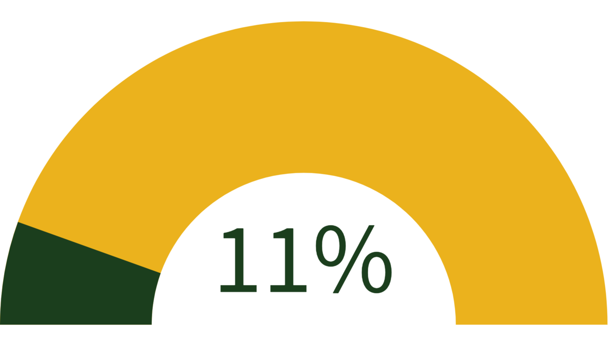 graphic showing 11% fundraising achieved