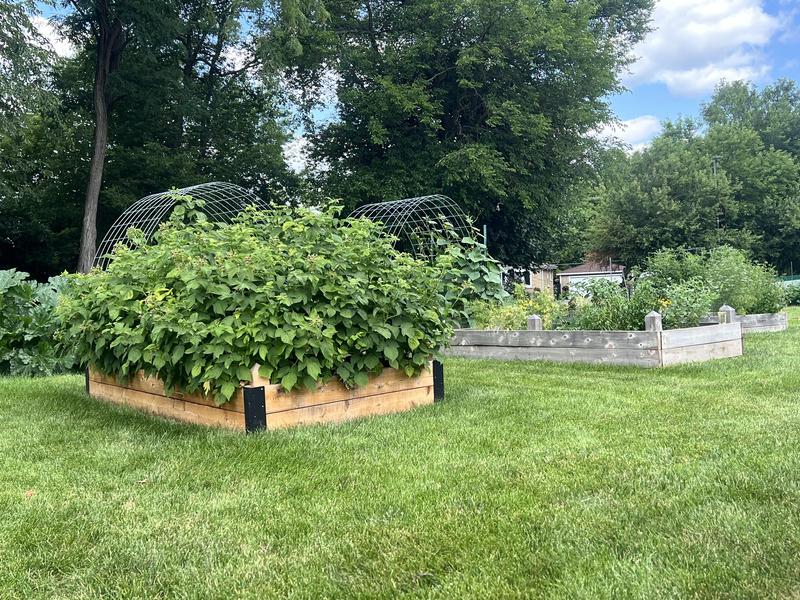 Elijah's Garden