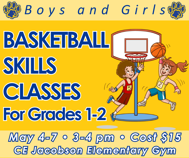 Basketball skills classes