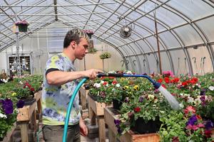 Student waters flowers in school greenhouse