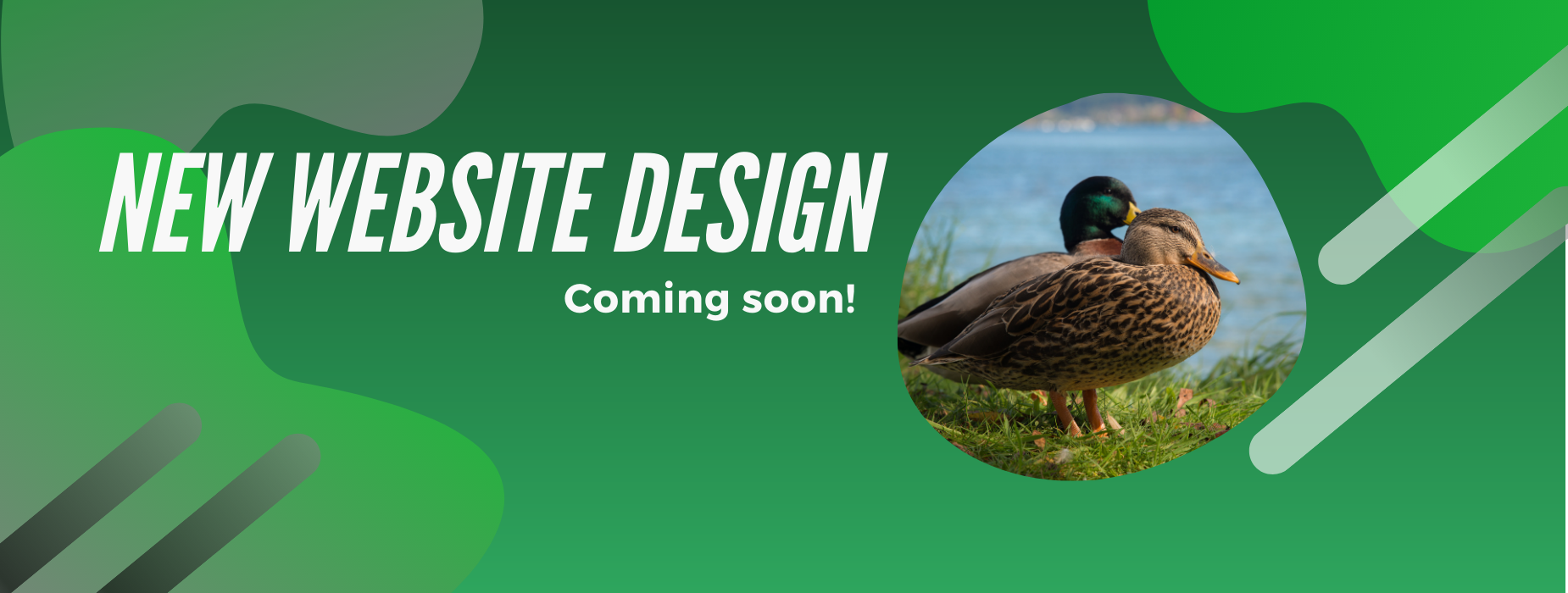 New website coming soon