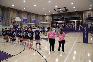 Annual Dig Pink Game