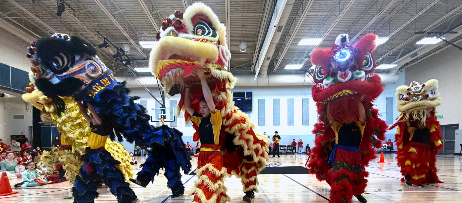 Four performers in colorful lion costumes dance in a gymnasium filled with spectators.