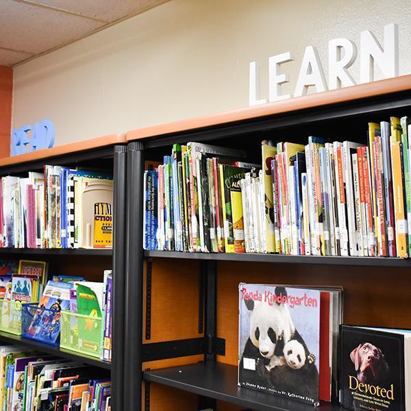 Library shelves with books