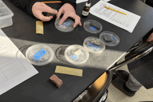 Mrs. Piatak’s eighth grade science classes have been studying rocks