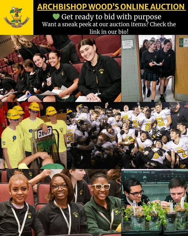 It’s time—our Online Auction is officially OPEN! Featured Photo