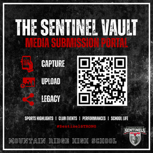 Introducing the Sentinel Vault, upload your pictures and videos today!